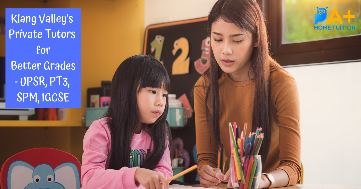A+ Home Tuition — photo 1