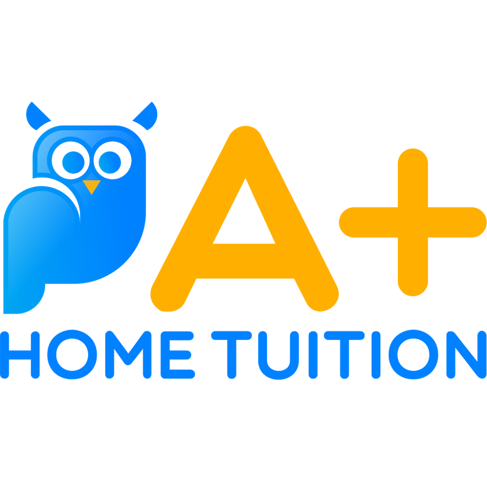 A+ Home Tuition — photo 5