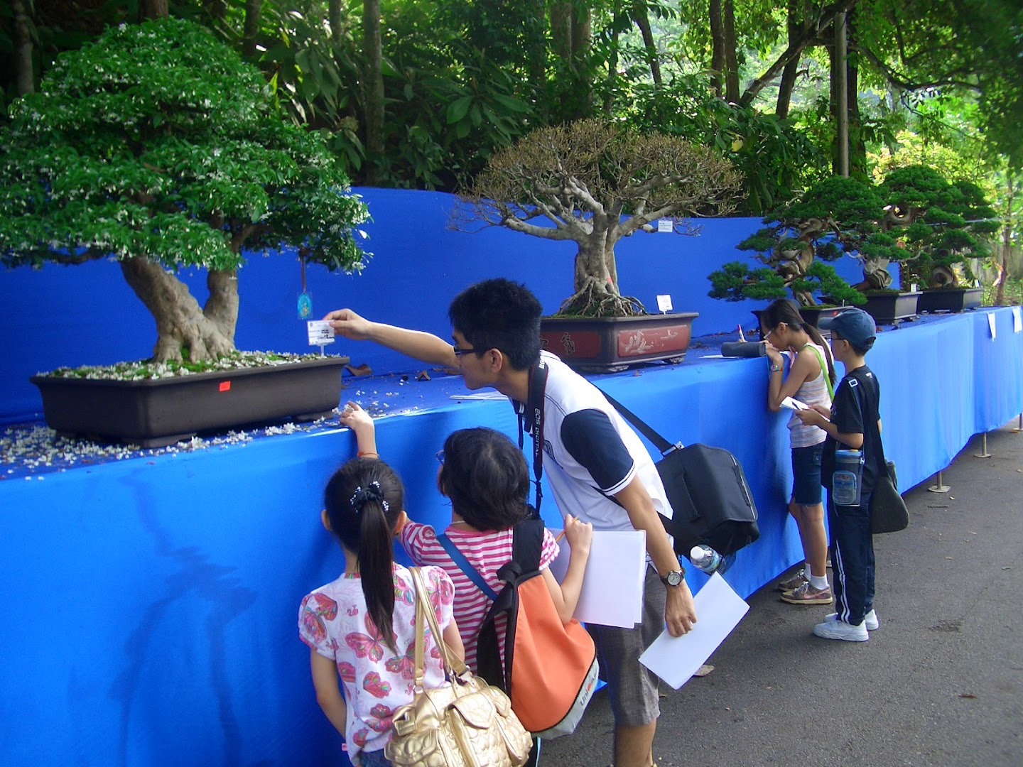 Eduexcel Academy — photo 1