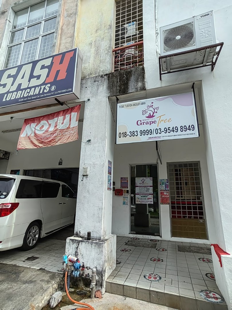 GRAPETREE TUITION CENTRE 葡萄树补习中心 （Pusat Tuisyen Anggur Aman) — photo 3