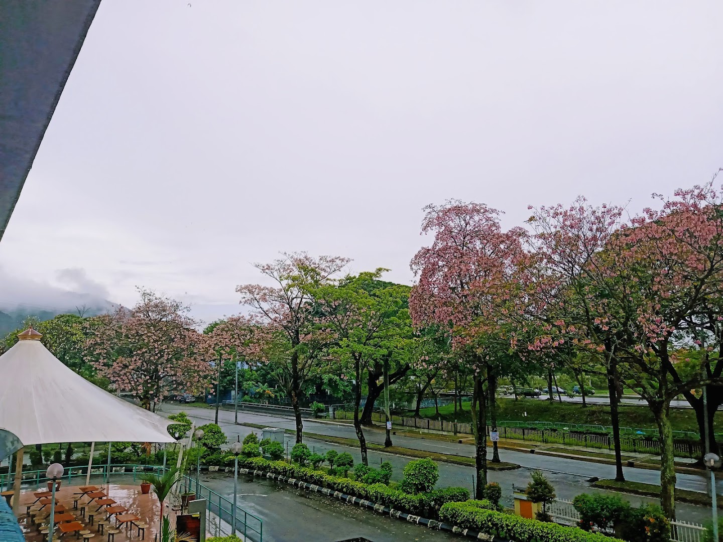 International Islamic College — photo 3