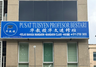 Prof Mandarin Tuition 华教授华文进修班 — tuition centre in Petaling Jaya