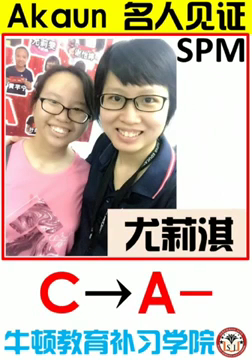 Pusat Tuisyen Jaya Cerdik(Lobak)牛顿教育 — photo 3