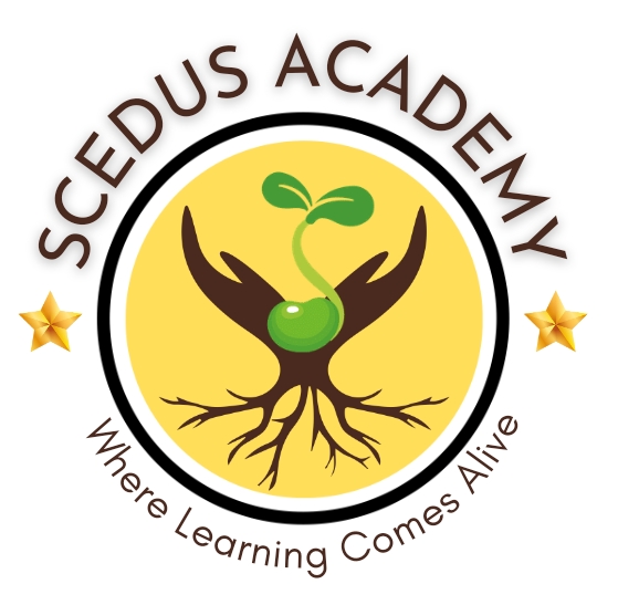 SCEDUS ACADEMY — photo 2