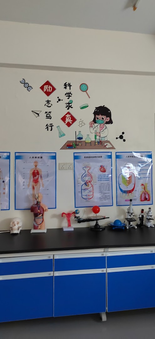 星星学习中心STAR A LEARNING CENTRE — photo 4