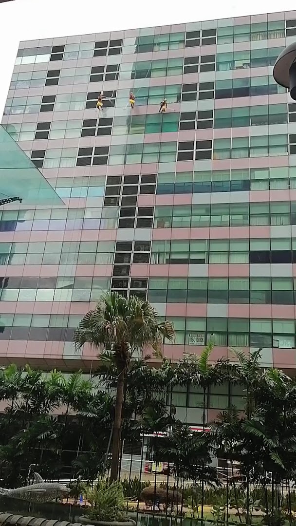 The One Academy — photo 2