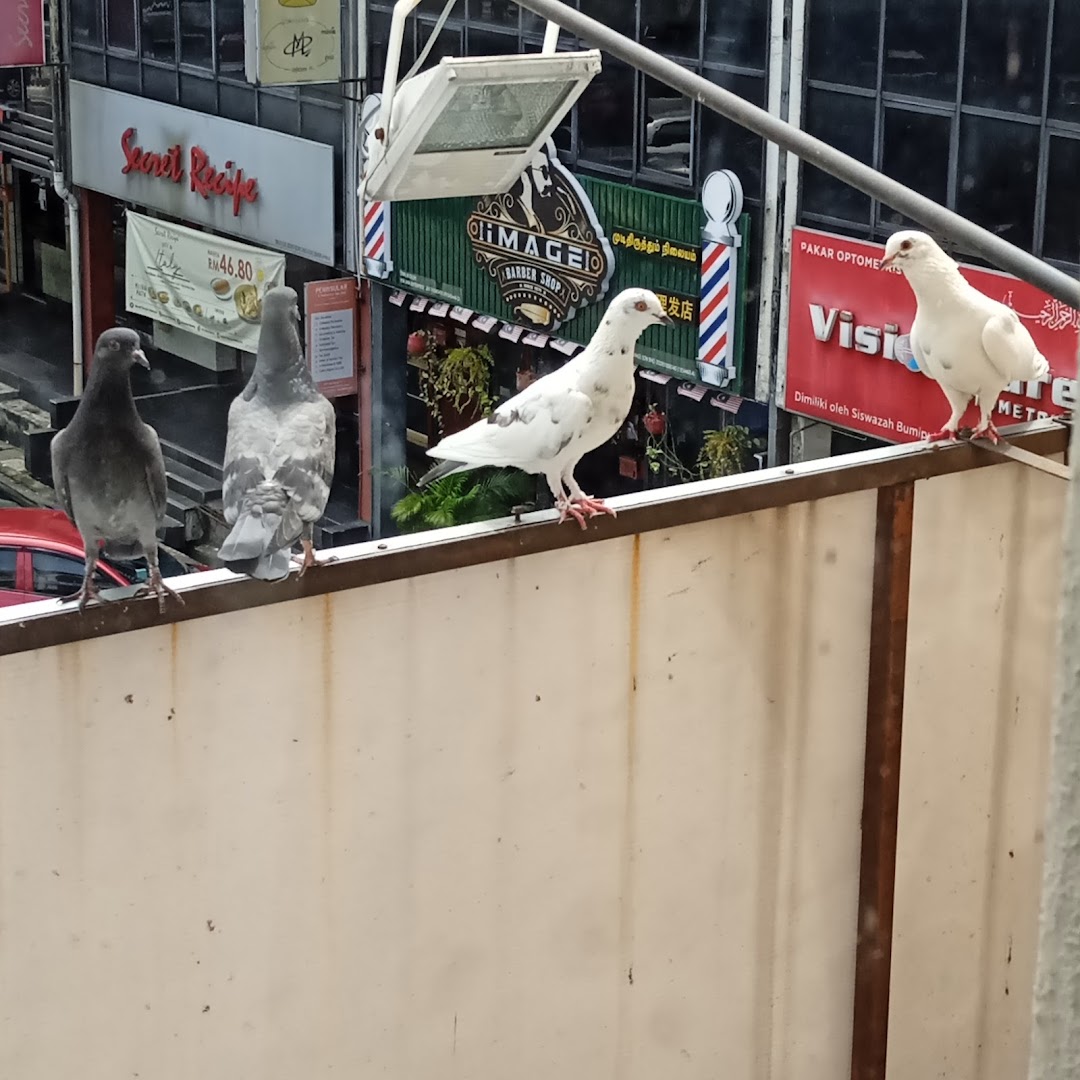 VBest IGCSE Tuition Centre • Taman Melawati — photo 4